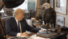 Trump Eagle GIF - Trump Eagle Scared GIFs