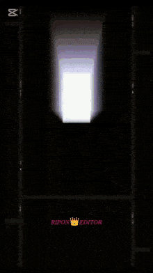 a black background with ripon editor written on the bottom