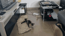 Pixel Pixelcat GIF