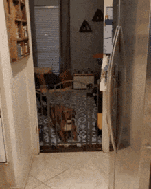 Jump Escape GIF - Jump Escape Dog GIFs