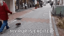a woman is walking a dog on a leash on a brick sidewalk .