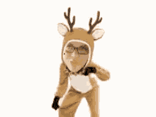 Reindeer Dance GIF