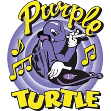 Purple Turtle Purple GIF - Purple Turtle Purple Turtle GIFs