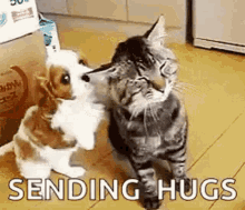 Sending Hugs Dog GIF - Sending Hugs Dog Cute GIFs