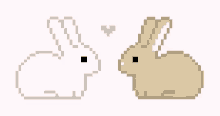 Bunny Love GIF - Bunny Love Cute GIFs