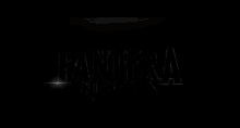 black panther marvel pantera negra