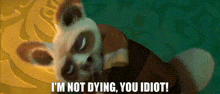 Shifu Kung Fu Panda GIF