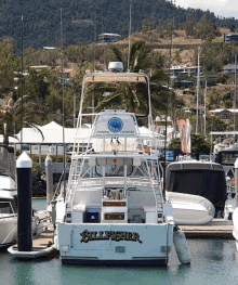 Coral Coast Charters Whitsundays Private Boat Charters GIF