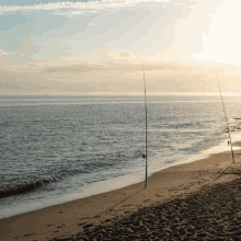 Marbella Spain For Sale GIF - Marbella Spain For Sale Property For Sale In Spain GIFs