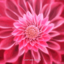Flower Floral GIF - Flower Floral Pink GIFs