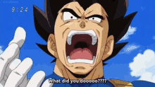 Vegeta Dragon Ball Z GIF - Vegeta Dragon Ball Z What Did You Do GIFs