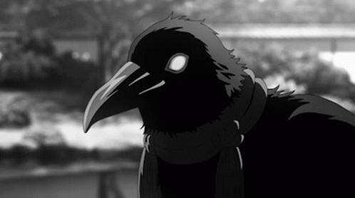 Conheça a Staff Crow