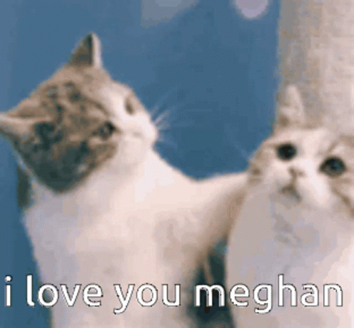 I Love You Meghan I Love Meghan GIF - I Love You Meghan I Love Meghan GIFs