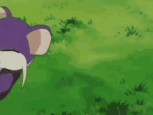 Rattata GIF - Rattata Pokemon Dead GIFs