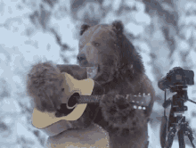 gar bear turkey day playing guitar