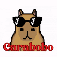 Capibara Haxball GIF