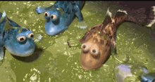 a group of fish with big eyes are swimming in a body of water