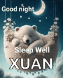 a polar bear is sleeping on a cloud with the words good night sleep well xuan on it .