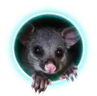 a gray opossum is peeking out of a hole in a circle