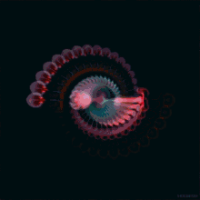 an animated image of a spiral with the name henlighten on the bottom left