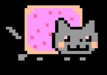 Nyan Cat GIF - Cat Nyan GIFs