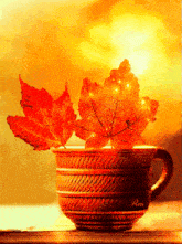 осени чашка GIF - осени чашка листья GIFs
