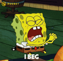 a cartoon of spongebob saying i beg with a roobet logo in the background