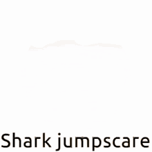 Jumpscare Gif Shark GIF - Jumpscare Gif Shark Neonslushie GIFs
