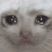 Crying #2, cry , emoji , crying , reaction , cursed , meme , gif , face ,  yellow , sad , miserable , melancholic , tear , tears , unhappy , down ,  depressed - GIF animado grátis - PicMix