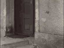 Dog Doorbell GIF - Dog Doorbell GIFs