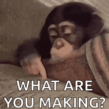 a chimpanzee is pointing at something with the words `` what are you making '' written below it .