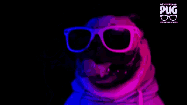 Pug Sunglasses GIFs