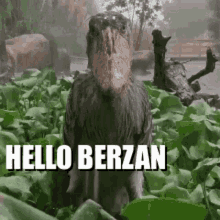 Hello Berzan GIF - Hello Berzan GIFs