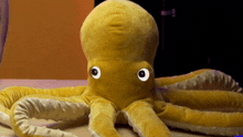 Pulpo Octopus GIF - Pulpo Octopus Eyes GIFs