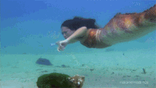 Mako Mermaids GIF - Mako Mermaids GIFs