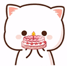 birthday cake mochi mochi peach cat