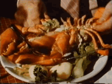 lobster meat food seafood