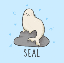 an illustration of a seal sitting on a rock