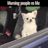 Morning People Vs Me GIF - Morning People Vs Me GIFs