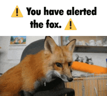 Fox You Have Alerted The Fox GIF - Fox You Have Alerted The Fox GIFs