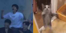 a group of people are standing next to each other and a cat is standing on its hind legs .