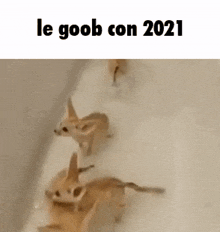 Le Goob Le Goob Con 2021 GIF - Le Goob Le Goob Con 2021 GIFs