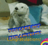 a sea otter says you came out need a husband and congratulations