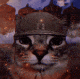Attack On Titan Cat Cat Stare GIF