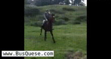 Horse Riding Brake GIF - Horse Riding Brake Falls Jumps GIFs