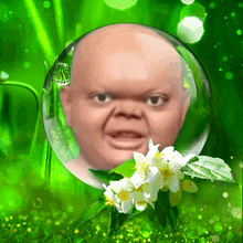 a picture of a baby 's head in a bubble with flowers in the background