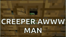 Creeper Aw GIF - Creeper Aw Mannn GIFs