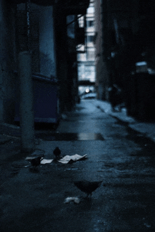 a dark alleyway with a few birds and a dumpster