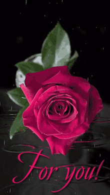 Love You Flower GIF - Love You Flower Rose GIFs