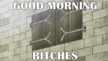Good Morning Bitches Good Morning Funny GIF - Good Morning Bitches Good Morning Funny Good Morning GIFs